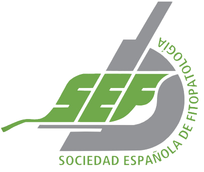 XXII Congreso de la SEF