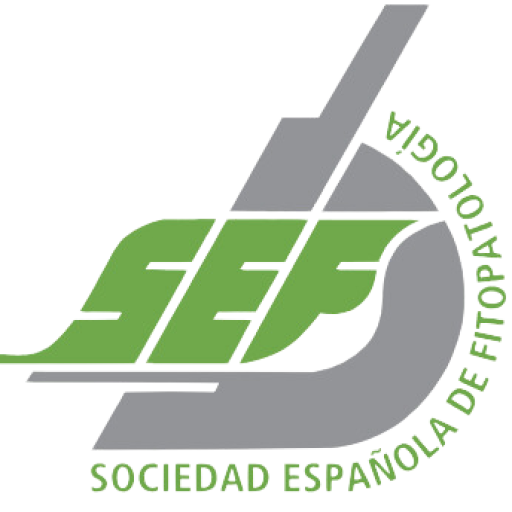 XXII Congreso de la SEF